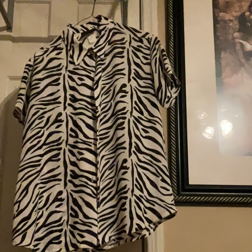 Button Down - image 1